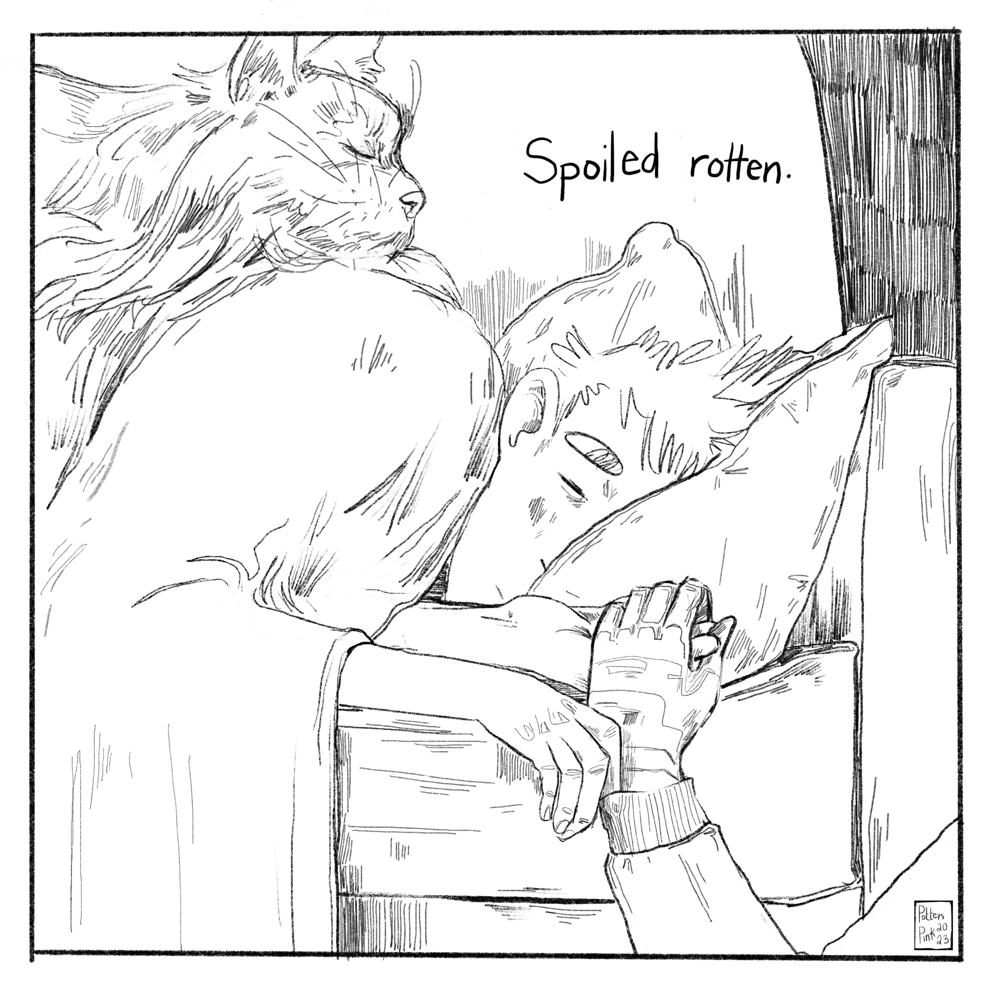 Yeah, Steve is spoiled rotten. He falls asleep, with Smaug on his back and Bucky's hand holding his, with his favourite movie on the tv and belly full of his favourite snacks. 