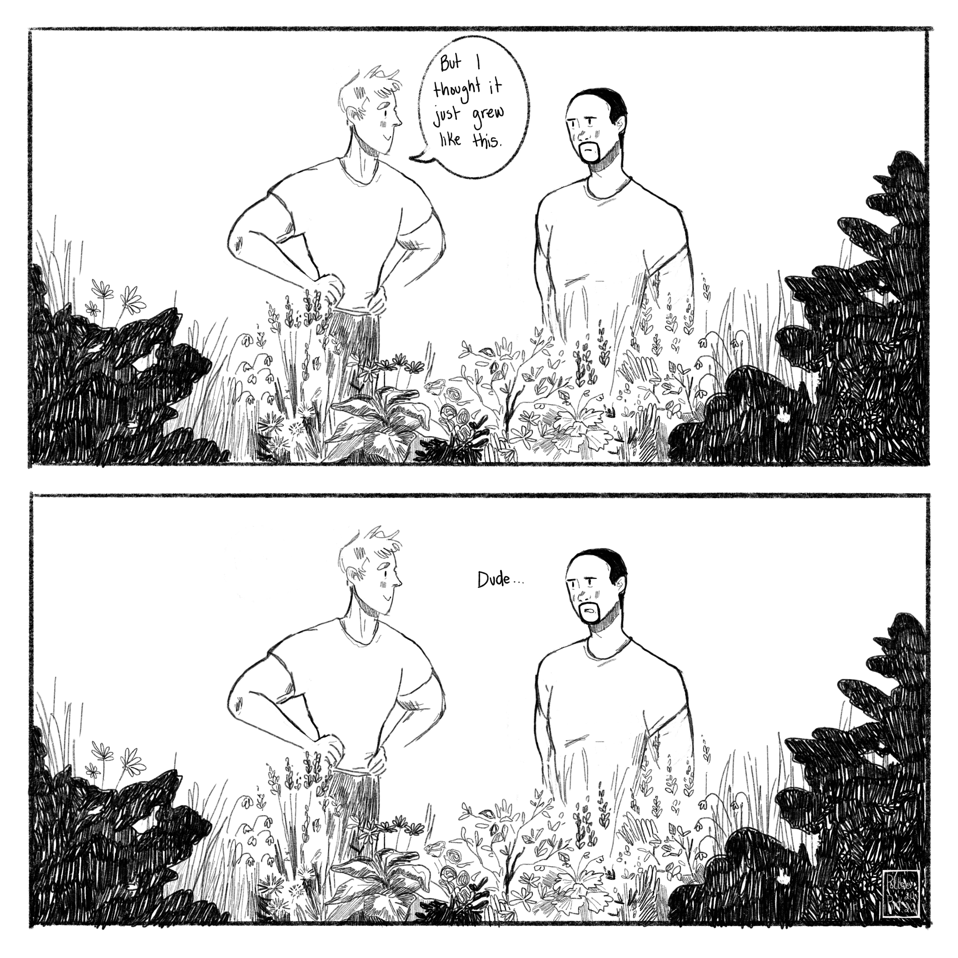 Page 5. Steve turns to Sam and says, “But I thought they just grew like this.” Sam cannot believe this guy. END.