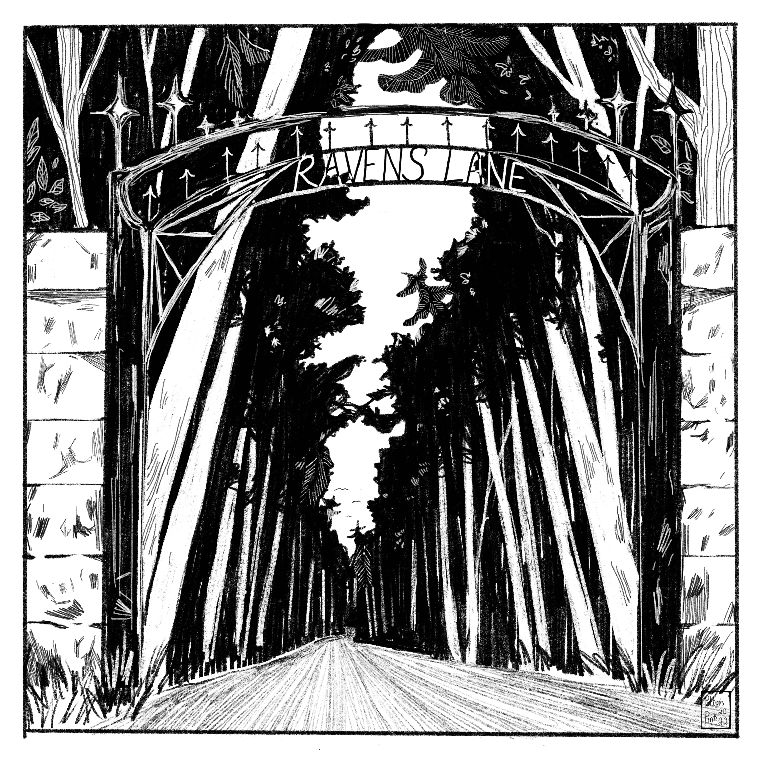 Page 5. Full page illustration of a long, dark winding road. There is an old stone and iron gate at the entrance, with “Ravens Lane” visible at the top. You cannot see the end of the road, and the trees are tall and swaying. 